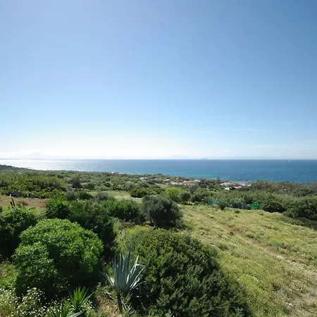 Livingtarifa Concha * Tarifa