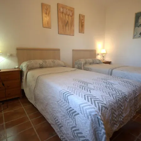Livingtarifa Concha *